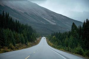 carretera asfaltada con montañas rocosas en un día sombrío en otoño en el parque nacional banff foto