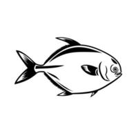 Golden Pompano Fish or Trachinotus in the Family Carangidae Viewed from Side Mascot Retro Black and White vector