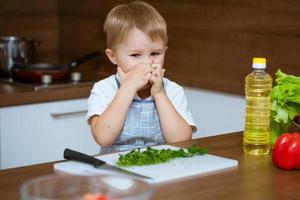 Toddler boy in the kitchen. photo