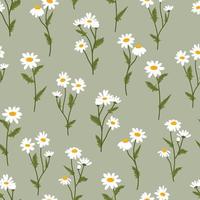 Chamomile vector seamless pattern. Floral ditsy texture with small white daisy flowers, buds and leaves for fabric, wrapping, textile and wallpaper.