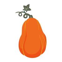 Pumpkin cartoon vector illustration. Thanksgiving, harvest and Halloween element isolated on white background.