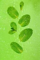 hojas de menta fresca sobre un fondo verde húmedo foto