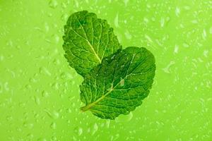 dos hojas de menta fresca sobre un fondo verde con gotas de agua