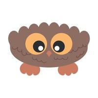 Little Cute Bird Owl with big eyes looking on his beak nose vector