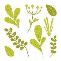 A set of green leaves, branches, and blades of grass.  Vector illustration in a flat style isolated on a white background