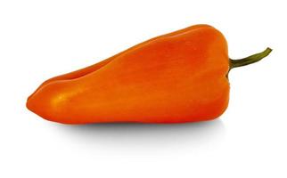 The single orange peppers capsicum on a white background photo