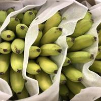 Macro photo fruit bananas. Stock photo fruit yellow banana background