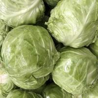 macro photo white cabbage. Stock photo vegetable cabbage background