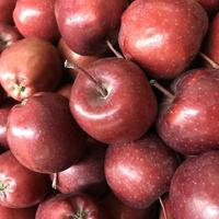 macro foto manzanas verdes rojas. stock photo fruta manzana fondo
