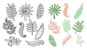 Set of abstract leaves. Line and flat style. Vector illustration. Nature concept. As template for graphic design, pattern, print. Isolated icons, element