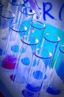 The test tubes and flasks with colored liquid in a laboratory photo