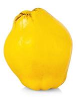 el membrillo amarillo fresco aislado fondo blanco foto