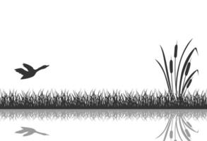 The black silhouette of marsh grass with flying duck is reflected in the water. vector