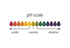 Scale of acidity of litmus indicator paper. vector