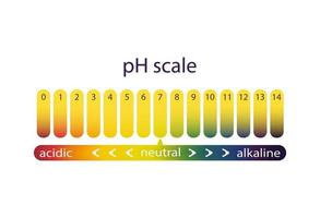 Acidity scale of litmus indicator paper, color gradient vector