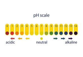 Acidity scale of litmus indicator paper, on a white background. vector