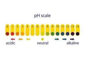 escala de acidez del papel indicador de tornasol, sobre un fondo blanco. vector