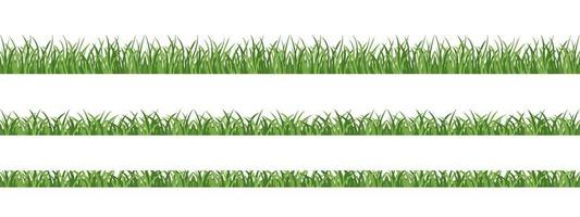 Seamless lawn grass. Elements for spring design, frames, decoration. vector