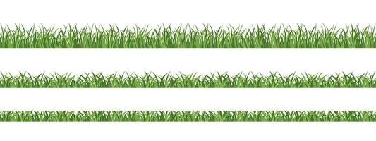 Seamless lawn grass. Elements for spring design, frames, decoration. vector