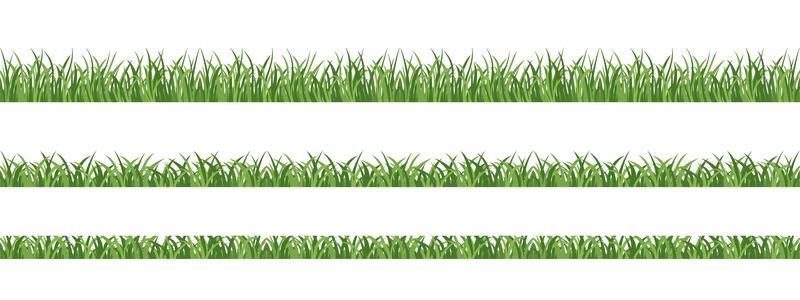 Seamless lawn grass. Elements for spring design, frames, decoration.