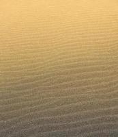 The abstract wave line textures on a Pacific beach illuminated by the Sun and an empty quarter photo