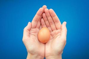 Brown chicken egg in hands photo