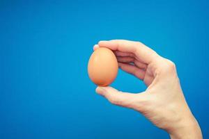 brown egg in a hand on a blue background photo