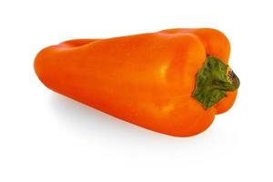 The single orange peppers capsicum on a white background photo