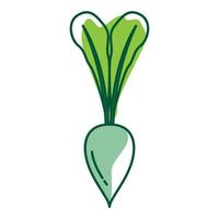 líneas arte resumen verduras rábano logotipo diseño vector icono símbolo gráfico ilustración