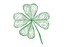 Vintage green lucky clover with four leaf in hand drawing style for Patrick's day. vector