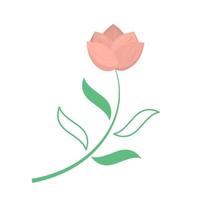 Rose flower with leaves. Boho floral element. vector