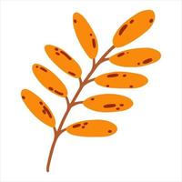 Hand drawn autumn leaf in cartoon flat style. Fall vector illustration for baby apparel, textile and product design, wallpaper, wrapping paper, card, scrapbooking