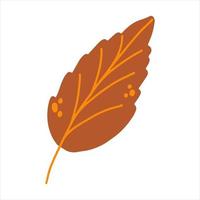 Hand drawn autumn leaf in cartoon flat style. Fall vector illustration for baby apparel, textile and product design, wallpaper, wrapping paper, card, scrapbooking