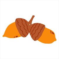 Vector acorn nut in hand drawn cartoon childish style. Fall illustration for baby apparel, textile and product design, wallpaper, wrapping paper, card, scrapbooking