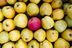 red apples in the middle of green ones in a box. photo