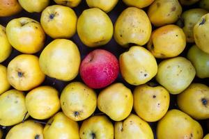 manzanas rojas en medio de las verdes en una caja. foto