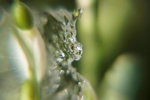 hielo descongelado borroso. superficie foto