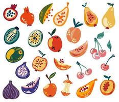 Fruit Set. Tropical fruits, pomegranate, cherry, pear, apple, kiwi, peach, mango, fig, papaya. Sweet healthy food. Vector cartoon hand draw illustration