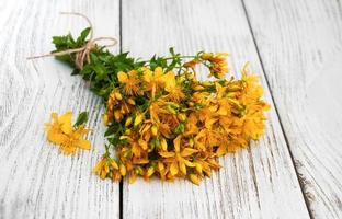 Saint-John's-wort on the table photo