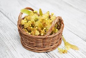 Basket with linden flowers photo