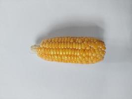 Golden yellow dried corn isolated on a white background photo