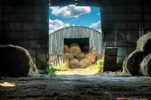 View of the hay bales being stored in an old wooden barn from the another hay barn photo