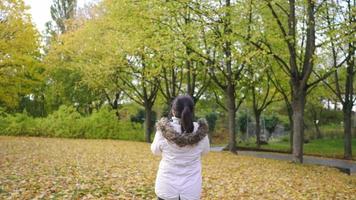 asiatische frau, die ein foto der ansicht im park macht. herumlaufen mit Herbstoutfits, gutes Wetter, gelbe Blätter, die auf das Gras fallen. viel baumhintergrund, stockholm, schweden im herbstkonzept video