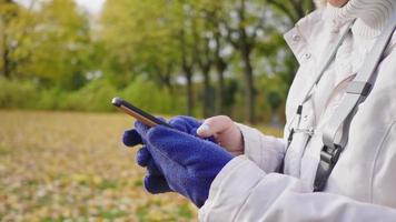 mani ravvicinate della donna in piedi e che utilizzano lo smartphone al parco nella stagione autunnale con schermo scorrevole sullo smartphone, indossando abiti invernali, stoccolma, svezia nel concetto autunnale. un sacco di sfondo dell'albero video