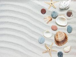 Seashells and starfish border photo