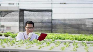 agricultor homem asiático verificando vegetais hidropônicos em uma fazenda hidropônica. verificando e gravando no tablet. trabalhando como agricultor na fazenda hidropônica de estufa. comida saudável. boa comida e boa vida