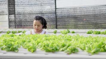 vista frontal agricultora asiática cultivando vegetais hidropônicos em uma fazenda hidropônica. verificando e cuidando dos vegetais. trabalhando como agricultor na fazenda hidropônica de estufa. comida saudável. boa comida video