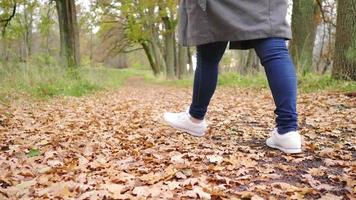 mulher asiática feliz andando na floresta. andar e virar-se enquanto caminha. temporada de outono, folhas caindo das árvores, bela natureza, tomando ar fresco na floresta, suécia video