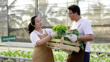 Happy Asian farmer couple standing and checking organic vegetables in a hydroponic farm. Collecting vegetables. healthy food. Good food and good life concept. Organic vegetables. Small business owner video