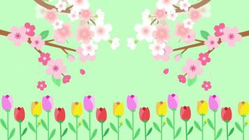 Cartoon Springtime Trees Flowers Petals Falling video